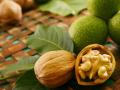 Осень: Как выбрать грецкие орехи