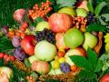 В Украине урожай фруктов и ягод может превысить прошлогодний на 30%