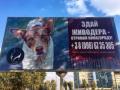 40 тысяч гривен за информацию: в Днепре ищут жестокого живодера