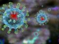 Розвідка США не дійшла остаточних висновків про походження коронавірусу