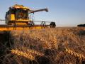 Украина сократила на 5 млн тонн экспорт зерна