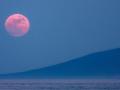 Над Землей сегодня поднимется «розовая» Луна