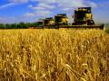 Аграрный сектор в Украине зарабатывает каждую пятую гривну в бюджет страны - Гройсман