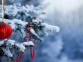 Новый год без снега: синоптик прогнозирует потепление с 31 декабря