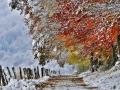 Морозы в октябре и снег с "бабьим летом" в ноябре: погодные аномалии осени