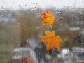 До +23° тепла днем и местами дожди: прогноз погоды в Украине на пятницу, 16 октября