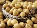 В Украине цены на ранний картофель упали до самого низкого за 3 года уровня