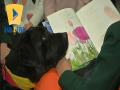 В Луцке появился четвероногий библиотекарь: лабрадор Пуша прививает детям любовь к чтению