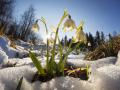 Весна відступає: в Україні різко похолодає, синоптик назвала дату