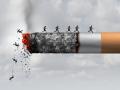 Суд в Канаде обязал производителей сигарет выплатить $17 миллиардов курильщикам