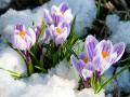Весна идет в Украину: подморозит только ночью, днем – до +12°