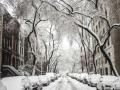 Снегопады не оставят Украину: прогноз погоды на пятницу, 29 января