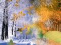 Дожди, снега и морозы: синоптики рассказали, какой будет погода в ноябре