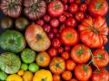 Как употребление помидоров влияет на организм человека