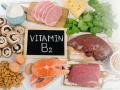 «Ранок з Україною»: дієтологиня розповіла про роль вітамінів групи B для організму і в яких продуктах він міститься