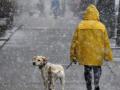 Україні на вихідні прогнозують морозець та мокрий сніг