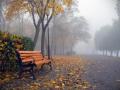 В Украину надвигается похолодание с дождями, снегом и заморозками: прогноз погоды на 15-16 октября