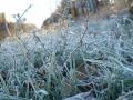 Спасатели предупреждают о заморозках в Украине