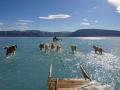За один день в Гренландии тает 8,5 млрд тонн льда