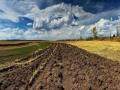 Рынок земли даст мощный импульс агробизнесу в Украине
