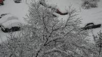 На Новий рік Україну знов засипатиме мокрим снігом