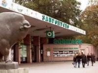 Киевский зоопарк избавился от несуществующего долга в 1,4 млн грн