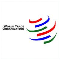 Грузия блокирует членство России в ВТО