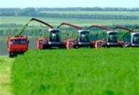 Украинские агрокомпании уменьшили капитализацию