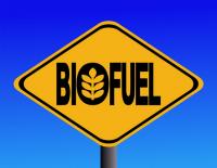 Запасы биотоплива в Украине составляют 5,7 млрд кубометров