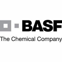 BASF Kids’ labs, или первые уроки по химии