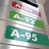 Виновных в резком повышении цен на бензин назовут до 29 января