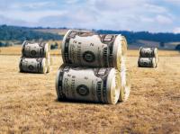 Арбузов обещает аграрному сектору $3 млрд инвестиций