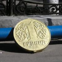 Украинцев призвали не бояться колебаний обменного курса гривни