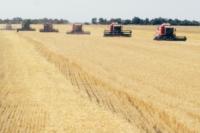 «НИБУЛОН» дал прогноз урожайности основных сельхозкультур в Украине