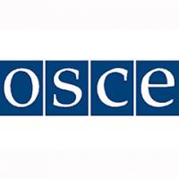 ОБСЕ направит в Украину спецпредставителя