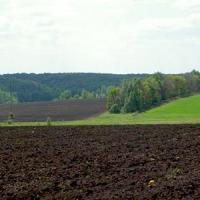 Украине вернули 60 тыс. га незаконно проданных земель