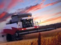Американцы повысили прогноз урожая пшеницы в Украине