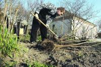 Украинцы предпочитают отдыхать на собственных огородах — опрос 