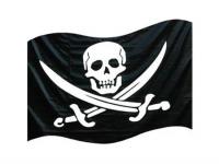 Пираты захватили украинское судно у побережья Камеруна 