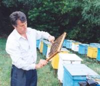 Ющенко обвиняют в уничтожении пчеловодства