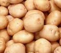 Украина собирается экспортировать картофель в Россию