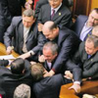 Депутаты Бундестага помогут украинским оппозиционерам 