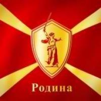 Наливайченко призвал к запрету партии «Родина»