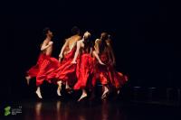 16 апреля стартовал фестиваль современного танца Zelyonka Fest 1.5
