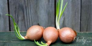 Чи можна їсти пророслу цибулю — поради експертів
