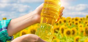 100 гривень за літр. Коли в Україні злетить ціна на соняшникову олію