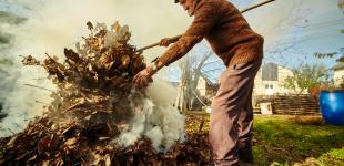 Минздрав предлагает запретить выгребные ямы, сжигание листьев и посыпание дорог солью