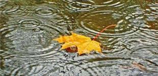 Дожди и холод: синоптики обнародовали свежий прогноз 