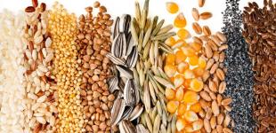 Зерновые и масличные культуры, растительные масла и шроты: Украина увеличила экспорт агропродукции