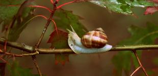 Осень вытесняет лето: Украину накроют грозы, названы даты